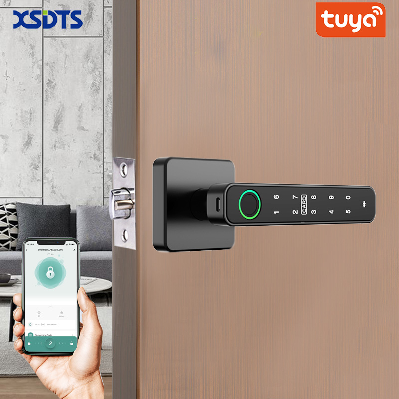 Smart Home Website - XSDTS Tuya Handle Fingerprint Key Card