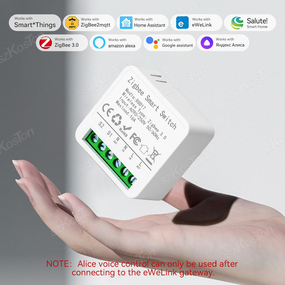 Smart Home Bridge - 16A Mini ZigBee Smart Switch eWeLink