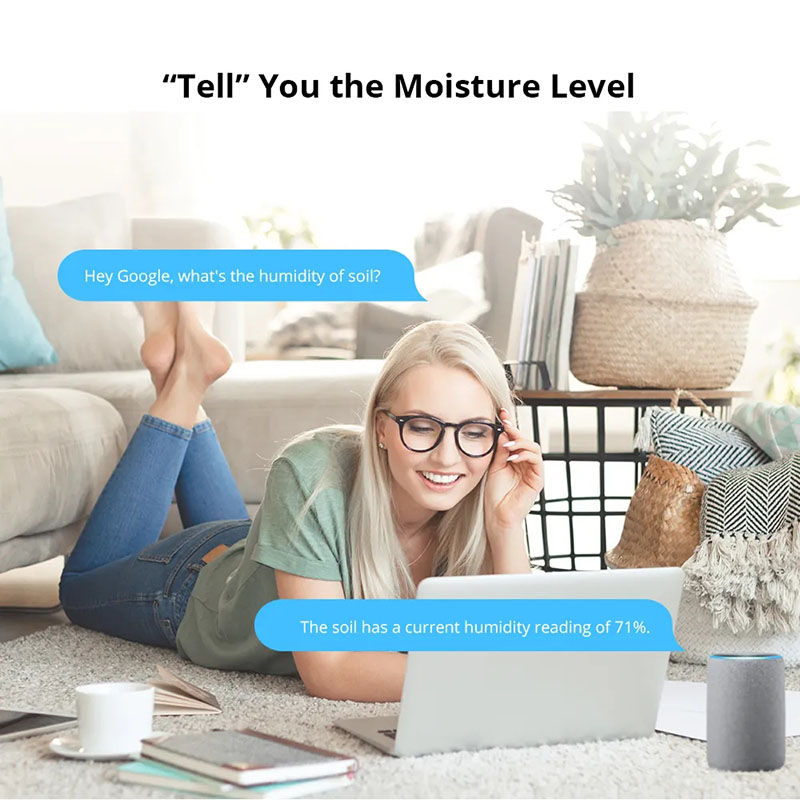 SONOFF MS01 Thông Minh Cảm Biế - đánh giá và giá Smart Home Bridge