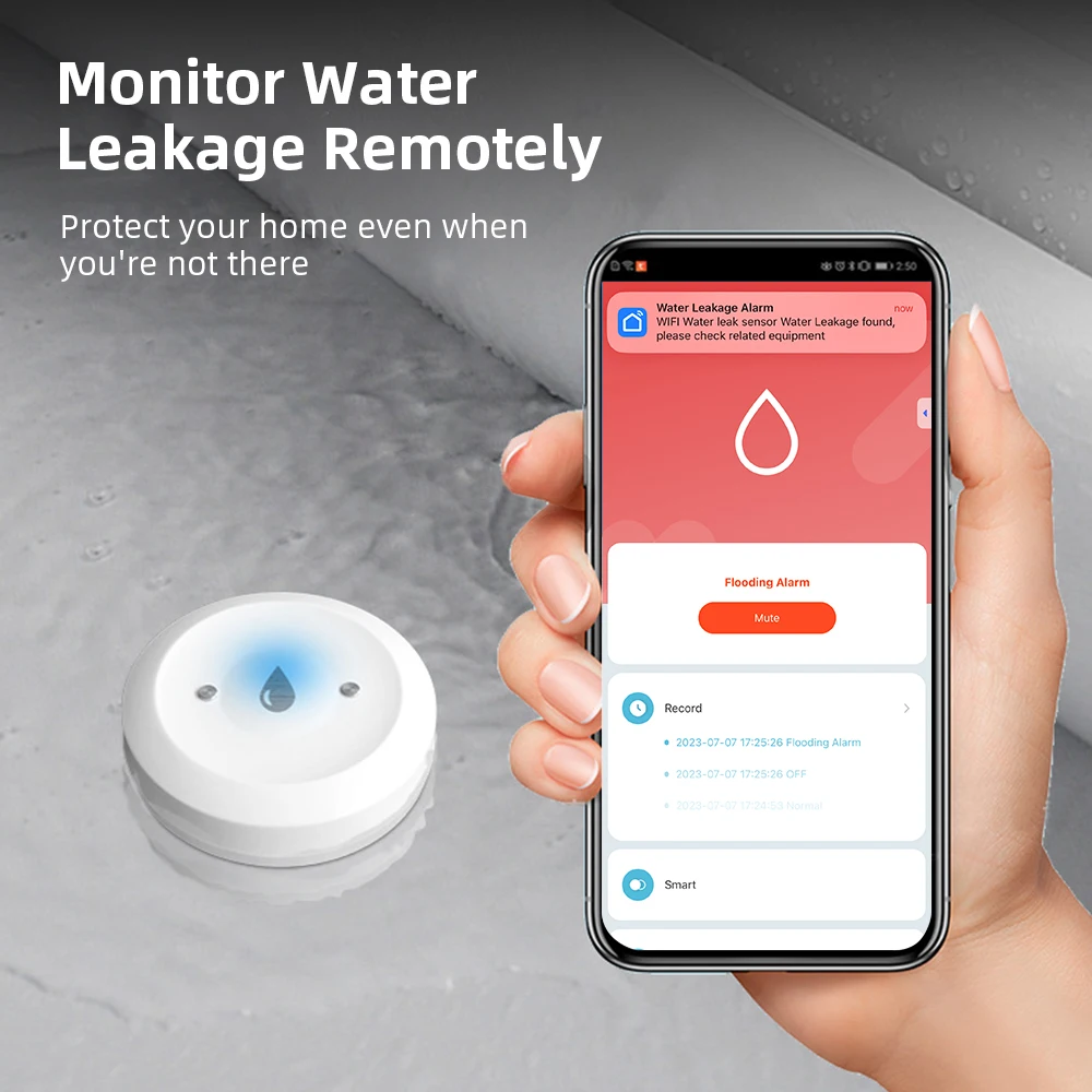 Zigbee Water Leak Sensor for T - đánh giá và giá Smart Home Features