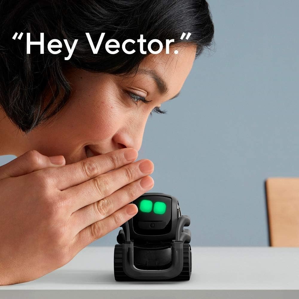 AI ChatGPT 2.0 Connected Robot - đánh giá và giá Smart Home Battery Camera