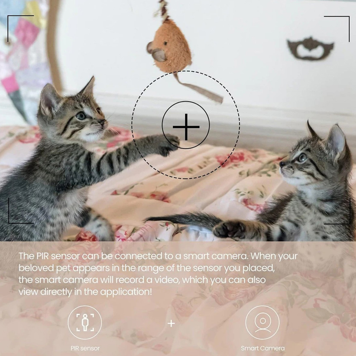 ZigBee 3.0 PIR Motion Sensor W - đánh giá và giá Smart Home Website