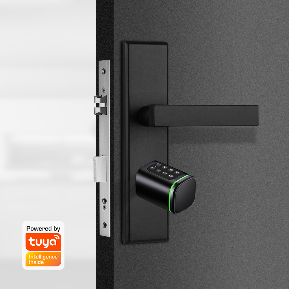 Smart Cylinder Lock Tuya 60-90 - đánh giá và giá Smart Home Website
