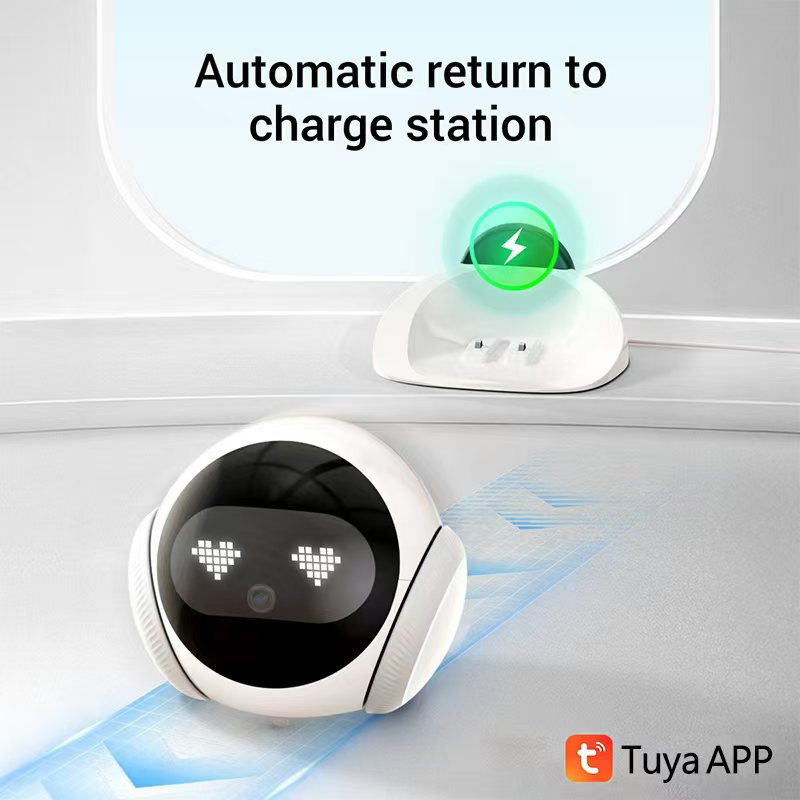Smart Electronic Pet Companion - đánh giá và giá Smart Elderly Home